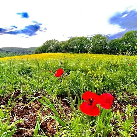 Colleverde Farma *