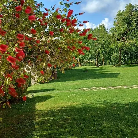 Farma Colleverde