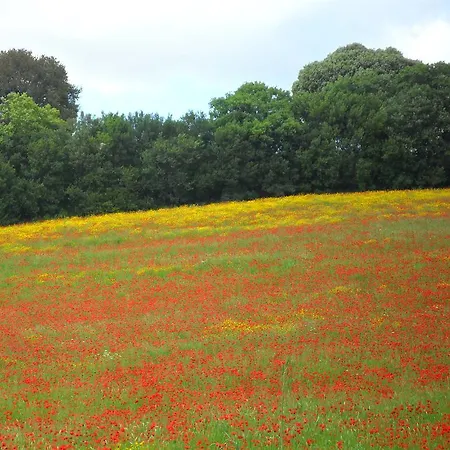 Farma Colleverde