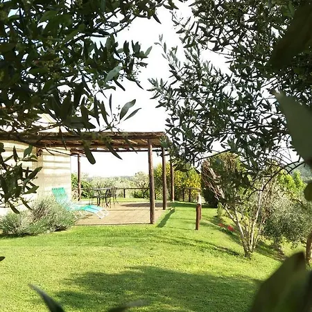 Colleverde