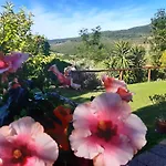 Colleverde Bauernhof *
