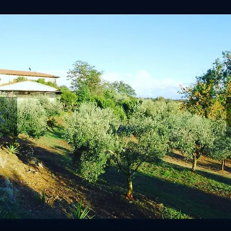 Vakantieboerderij Colleverde Capalbio