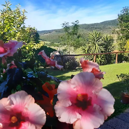 Colleverde Vakantieboerderij *