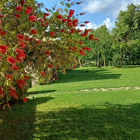 Bauernhof Colleverde
