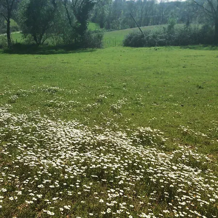 Vakantieboerderij Colleverde