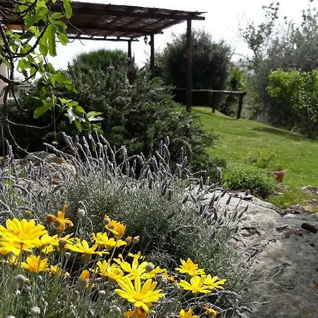 Colleverde Capalbio